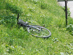 Bike near Kamo River