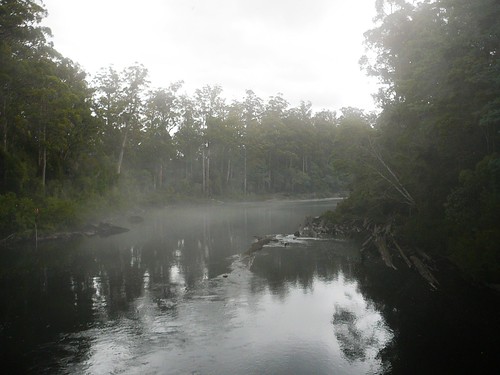 Morning Mist on the River