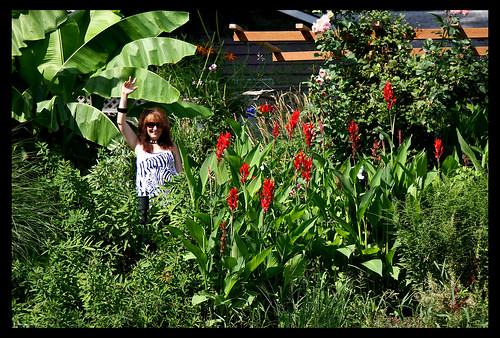 Happy August from my garden!!! Bananas and Cannas gone wild by you.