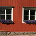 Windows in Porvoo - Finland by RaSeLaSeD - Il Pinguino