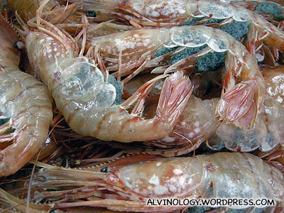 Fresh prawns with lots of roes