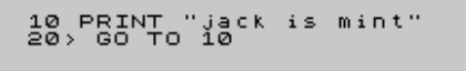 10 PRINT 'jack is mint'; 20 GOTO 10 (flickr)