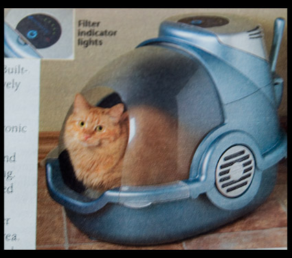cat-litter-box-spacecraft