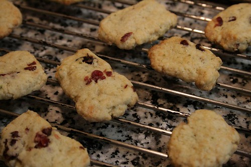 Rosemary and vanilla flavoured bicuits with dried cranberries