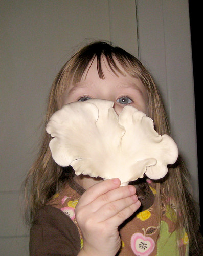 mushroom face