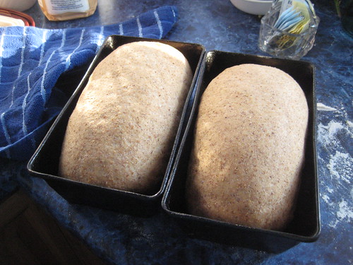 multi grain bread