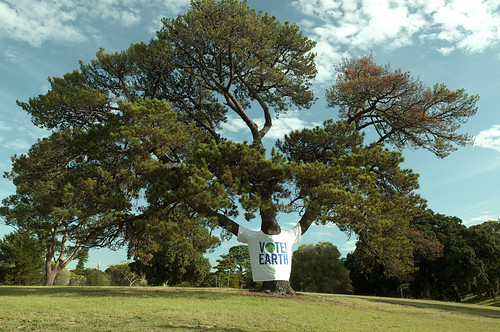 Vote Earth Tree
