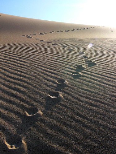 Footprints - Stockton Sand Dunes