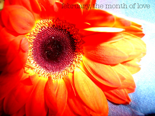 february, the month of love
