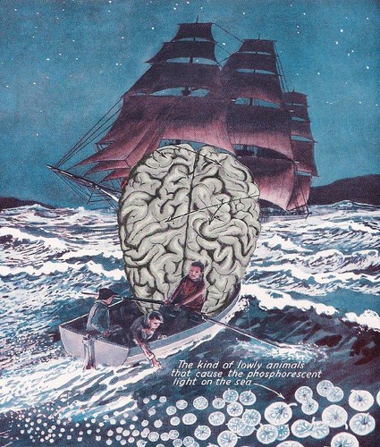 Sea Brain