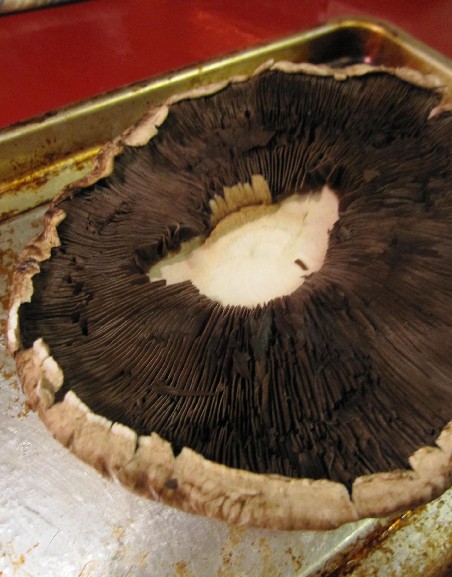 Leftover Mushroom Cap