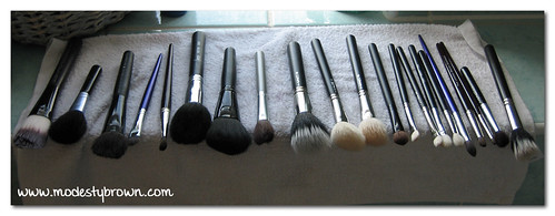 brush collection2