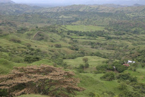 Rolling landscape south of PopayÃ¡n, Colombia...
