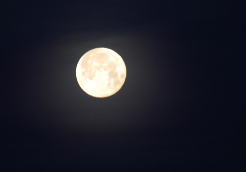 14 - Full Moon