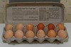 First dozen eggs