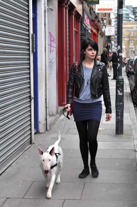 london, fashion, street style, punk, bull terrier