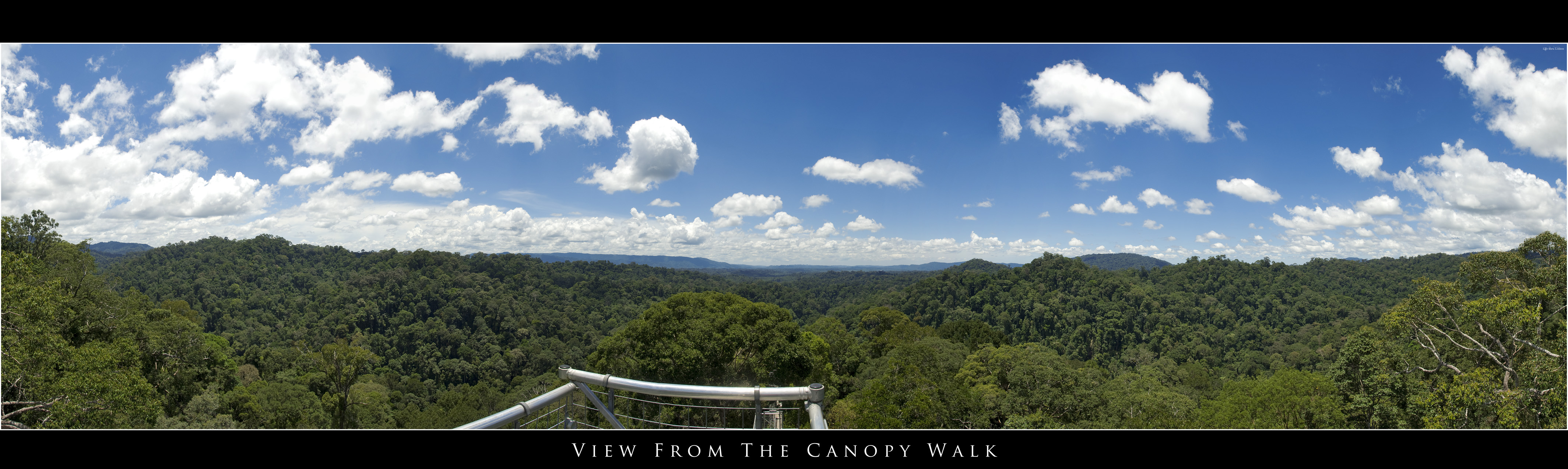 Canopy Walk Panorama