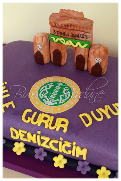 Istanbul University Cake