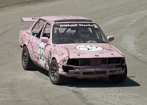 Pink Pig at ButtonWillow