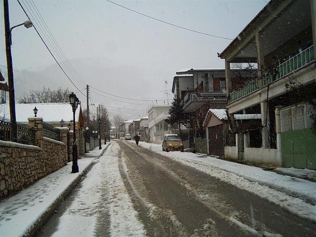  Πελοπόννησος - Αρκαδία - Δήμος Μαντινείας ΝΕΣΤΑΝΗ - Ιαν. 2005