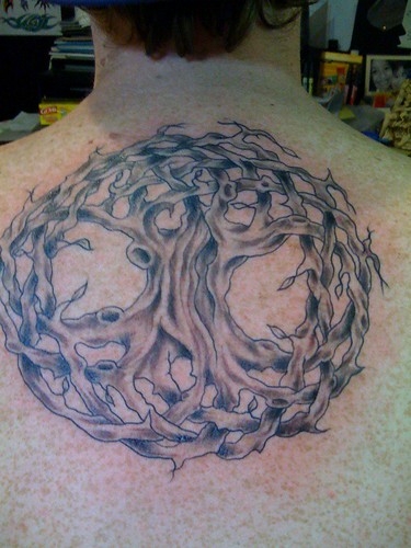 celtic tree of life tattoo. celtic tree of life tattoo