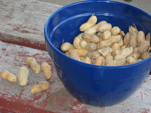 peanuts on the east porch