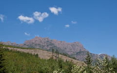 Mt. Arrowsmith from the Cameron Main