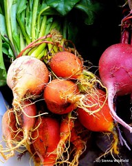 Beets at the Florence Farmers Market
