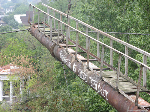 Житомир, мост в парке