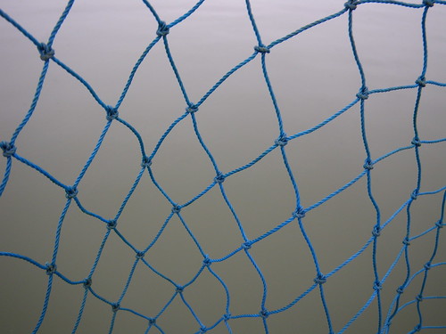 net and water