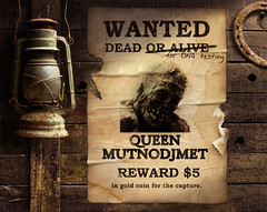 Wanted for DNA Testing: Queen Mutnodjmet