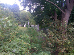 Black Creek Pioneer Village Cemetery