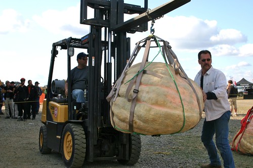 pumpkin gets a lift