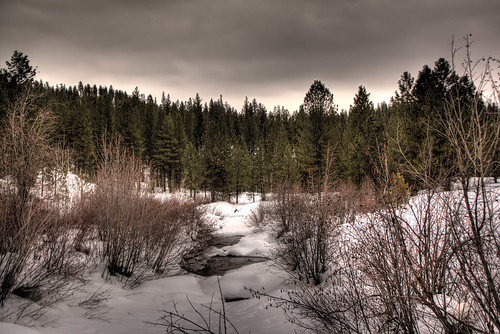 Idaho City Woods and Stream - HDR