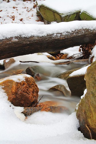 snow, ice, water, rocks, log.