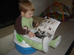Ti-der needs newspaper on potty.
