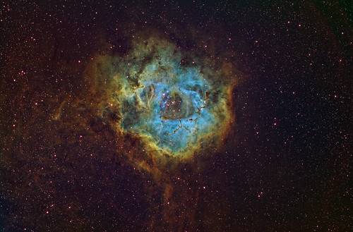 astrorom: Rosette Nebula