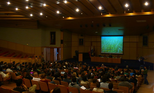 4. Conferencia: El sebadal de Granadilla en peligro. Propuestas de la comunidad científica.