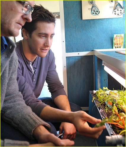 Feb 19, 2009 - Manual Arts High School: Jake Gyllenhaal inspects seedlings for the school garden