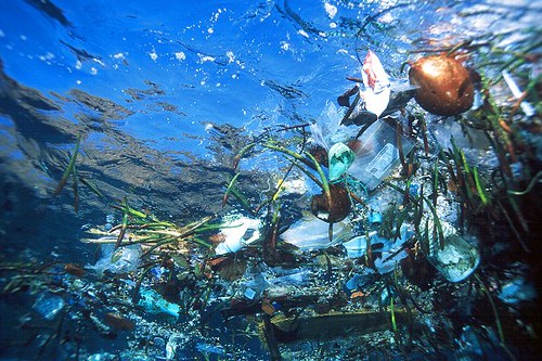 the Pacific ocean garbage patch