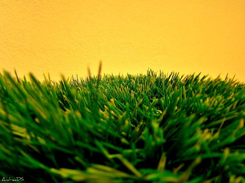 Artificial turf: green or toxic