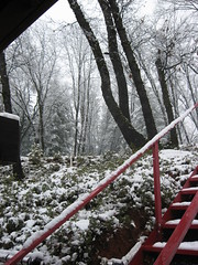 snow march 2009