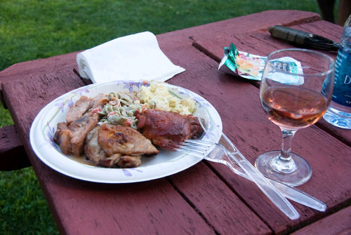 BBQ picnic with glass of wine