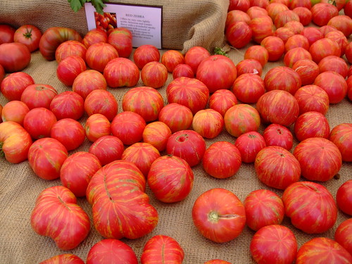 red zebra tomatoes