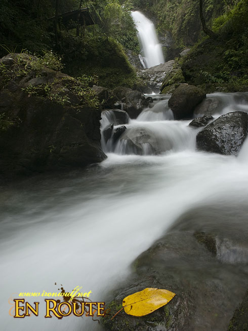 Imugan Falls Lower Basin and leaf