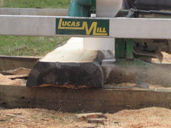090809 Lucas Mill in operation on the Huon Pine Log