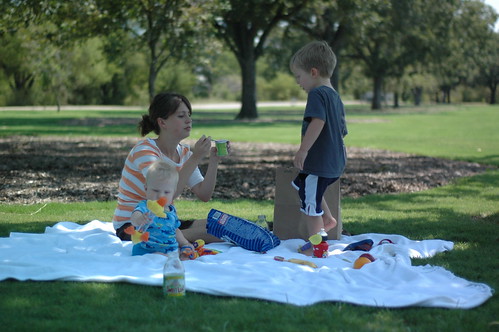 picnic at zilker