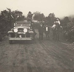 Coche y caballo Icod 1936