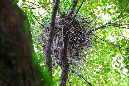 Crow's Nest Make Out of Hangers by pokoroto