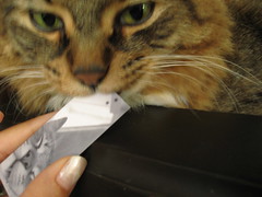 Chicago and his MOO card